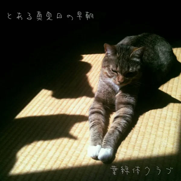 とある真夏日の早朝