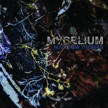 mycelium