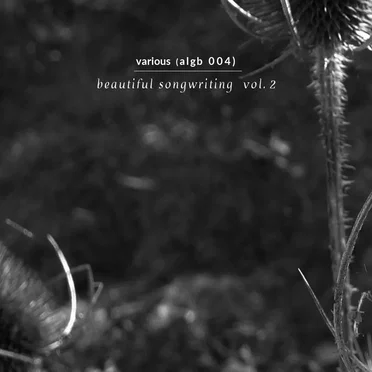 Beautiful Songwriting, Vol. 2 by Various Artists - album cover