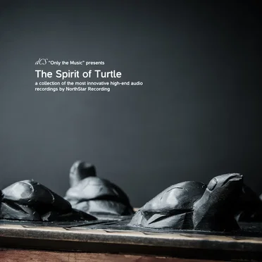 dCS Presents: The Spirit of Turtle by Various Artists - album cover