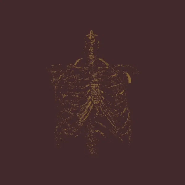 Gnawed Gristle And Bone