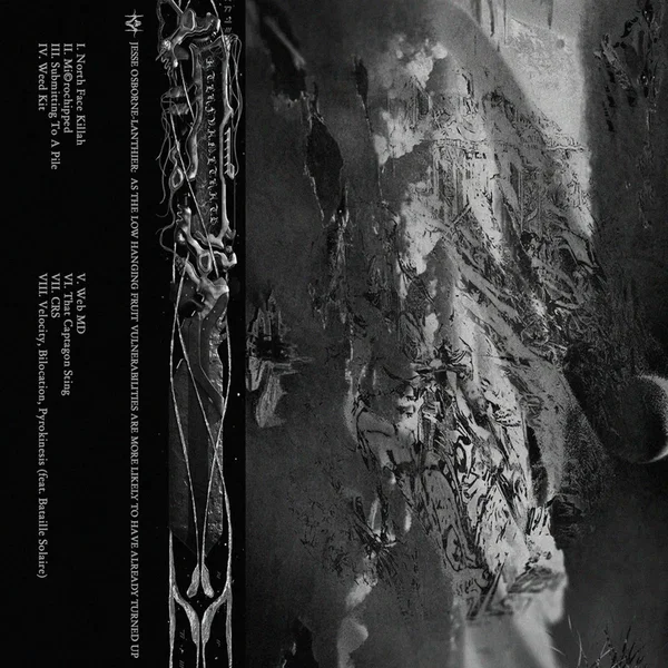 As the Low Hanging Fruit Vulnerabilities Are More Likely to Have Already Turned Up