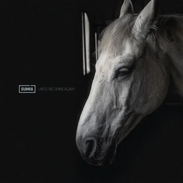 Until We Shine Again by Sumia - album cover