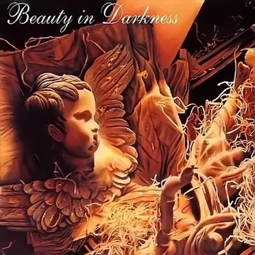 Beauty in Darkness by Various Artists - album cover
