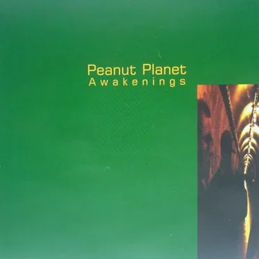 Awakenings by Peanut Planet - album cover