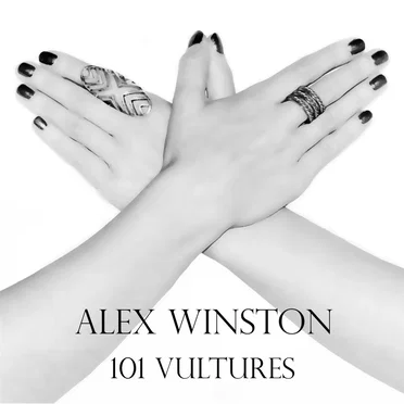 101 Vultures