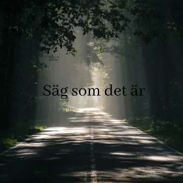 Säg som det är