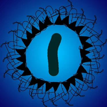I