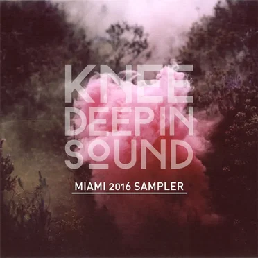 Knee Deep In Sound: Miami 2016 Sampler by Various Artists - album cover