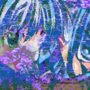 おるとら