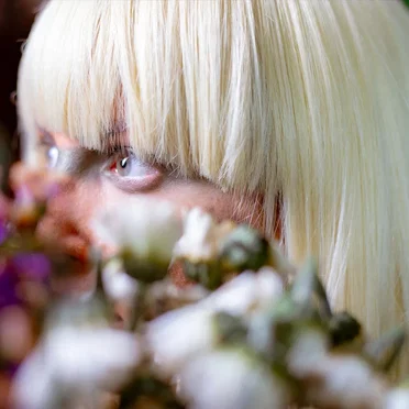 Orchid