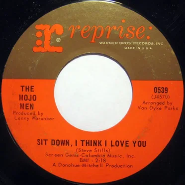 Sit Down, I Think I Love You / Don't Leave Me Crying Like Before