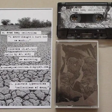 I Never Thought I Hurt Her So Much... / Reflections Of Decay