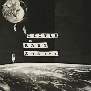 Little Baby Sharks