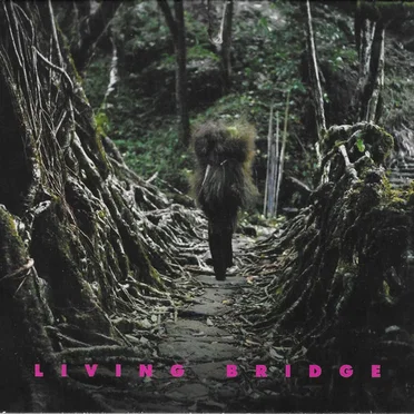 Living Bridge by Various Artists - album cover