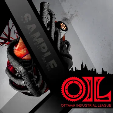 OIL Sample 2013 by Various Artists - album cover