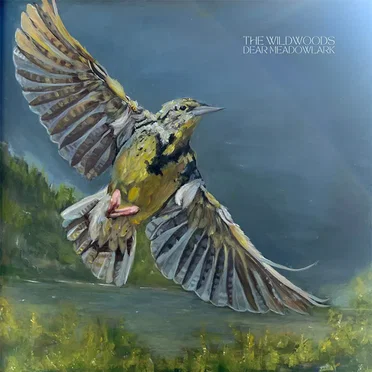 Dear Meadowlark by The Wildwoods - album cover