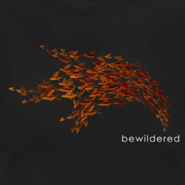Zolom Golom by Bewildered - album cover