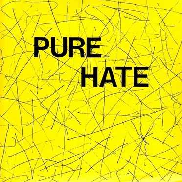 We've Got the Right to Remain Silent, but... by Pure Hate - album cover