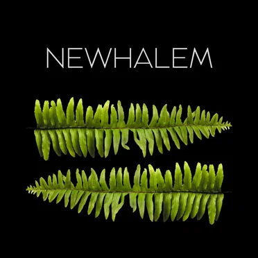 Newhalem