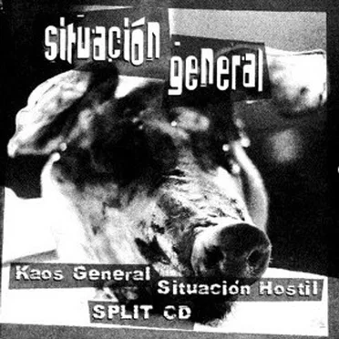 Situación General by Kaos General - album cover