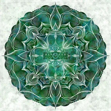Newborn Mind by Napoleon - album cover