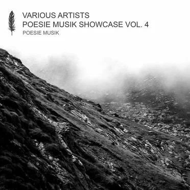 Poesie Musik Showcase, Vol. 4 by Various Artists - album cover