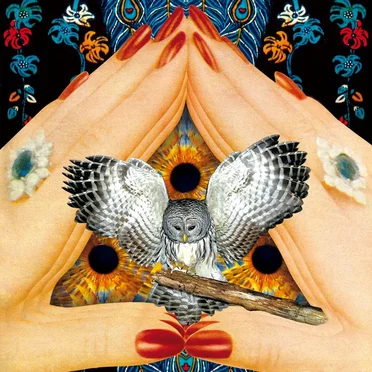 Dead Flowers by Strange Hands - album cover