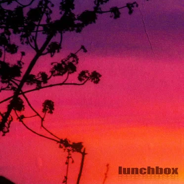 Plastic Fish by lunchbox - album cover