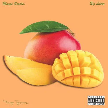 Mango Season. by Biz Levin - album cover