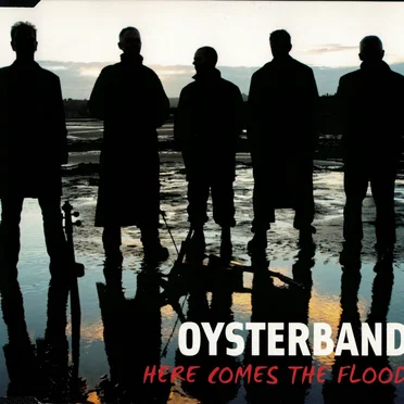 Here Comes the Flood