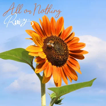 All or Nothing