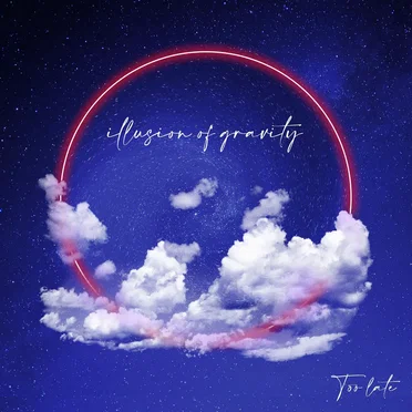Too Late by Illusion of Gravity - album cover