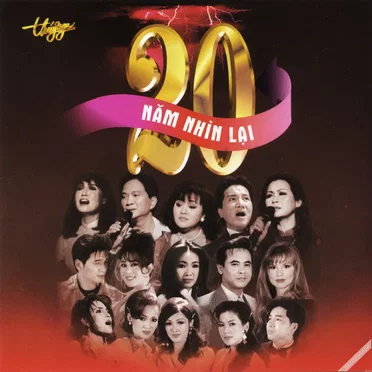 20 năm nhìn lại by Various Artists - album cover