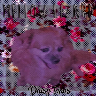 Daisy Tapes