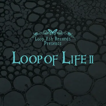 LOOP OF LIFE II by Various Artists - album cover