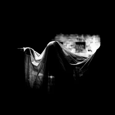 metempsychosis