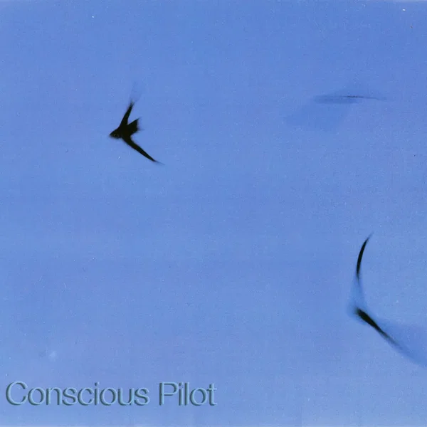 Conscious Pilot
