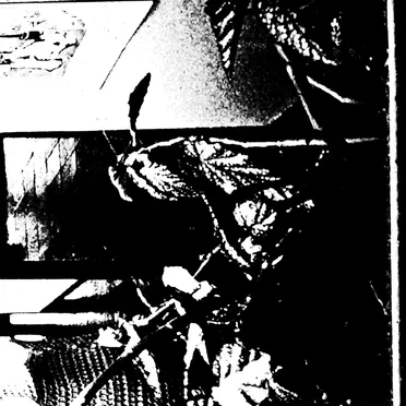 Do You Often Sit When Other People Stand?