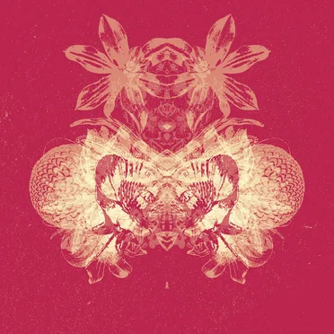 Hedge Enemy by Educution - album cover