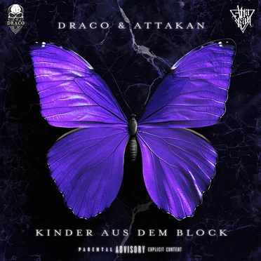 Kinder aus dem Block by Draco - album cover