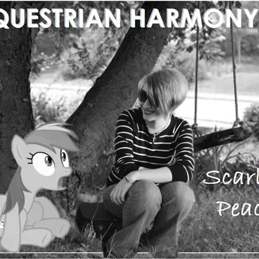 Equestrian Harmony