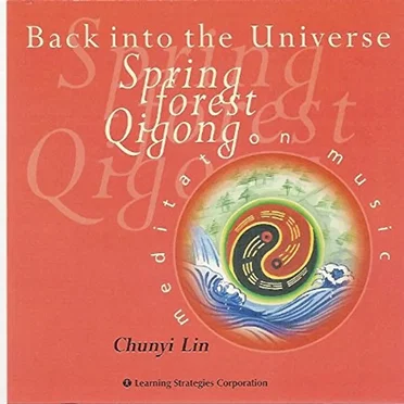 Back into the Universe