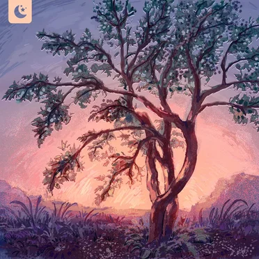 Ornament Contest by Various Artists - album cover