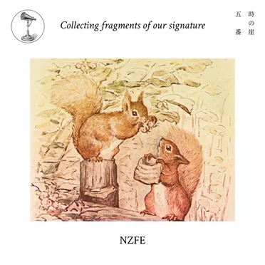 Collecting fragments of our signature