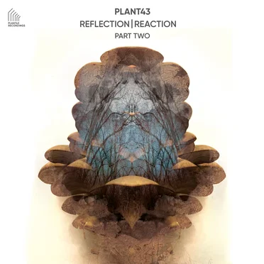 Reflection | Reaction – Part Two
