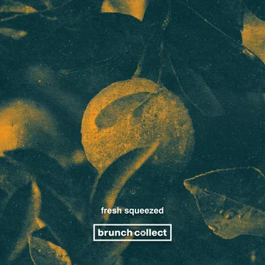 Fresh Squeezed by Various Artists - album cover