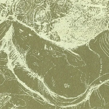 The Whys And Hows Of Herman Düne And Cerberus Shoal