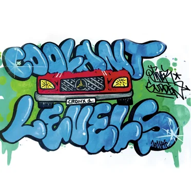 Coolant Levels
