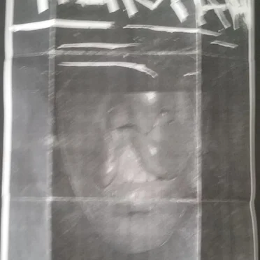 Swallowing Bile / Faggot Front Split